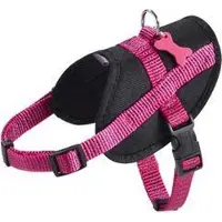 Non renseignée Harnais Easy Safe Fuschia Xs 31 A 43 Cm