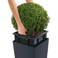 Lechuza Pot de Plante Auto-Arrosant Lechuza