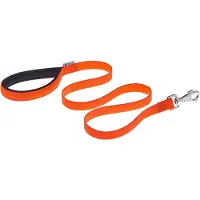 Ferplast Laisse Pour Chien Daytona G20 120
