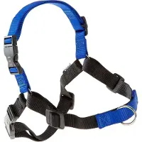 Ferplast Coach P M-L Harness Blue