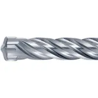Hikoki Accessoires Boor SDS Plus 22X450 mm 783278 (4-22 millimètres)