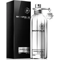 Montale Eau De Parfum Fougéres Marines Vapo 100ml