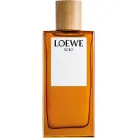 LOEWE Eau de Parfum Loewe pour Homme (100 ml)