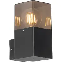 QAZQA Applique murale extérieure moderne noire IP44 avec verre fumé - Danemark