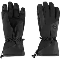 Sinner Alps Gloves Noir L Femme