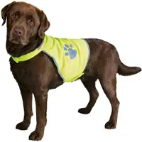 Trixie Gilet de sécurité jeune taille S