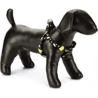 Beeztees Bz Nyl Harnais Tonnerre Sw 26- (Chien, Général)