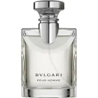 Bvlgari Pour Homme Eau de Toilette, 50ml