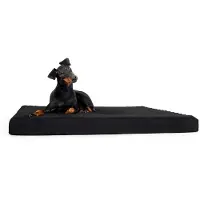 Back on track Matelas pour chien noir 100 x 120 cm, taille : taille unique
