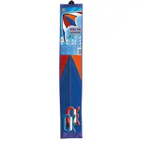 Günther Delta Loop Kite Bleu