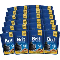 Brit Premium Cat Adult Mix smaków 48x100 g łosoś i pstrąg, wołowina i groszek saszetki dla kotów