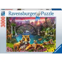 Ravensburger Puzzle 3000 pieces - Tigres au lagon