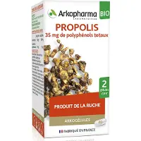Arkogélules ARKOPHARMA Propolis bio 40 pc(s) Capsule(S)