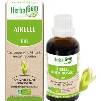 Herbalgem AIRELLE 30 ml Goutte(S)