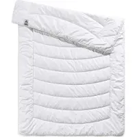 TB Bettwaren Greenline Cycafill ECO léger (400 g, Polyester, 200 x 200 cm)