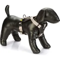 Beeztees Harnais Pour Chien Premium Parinca Y