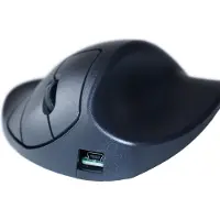R-Go Tools HandShoeMouse Right Small - Souris - pour droitiers - laser - 3 boutons - sans fil - récepteur sans fil USB - noir