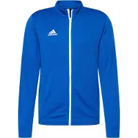 Adidas Entrada 22 Tracksuit Jacket Bleu XS / Regular Homme