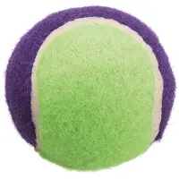 Trixie Tennisbälle D=6cm