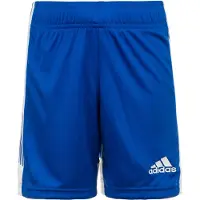 Adidas Tastigo 19 Shorts Bleu S / Regular Homme