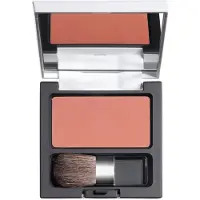 Diego Dalla Palma Milano Blush poudre compacte 10 5 g