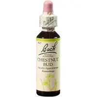 Nelsons GmbH Fleur de Bach Chestnut Bud, 20 ml de solution