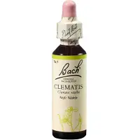 Nelsons GmbH Fleurs de Bach Original n° 9 Clématite blanche gouttes, 20 ml de solution
