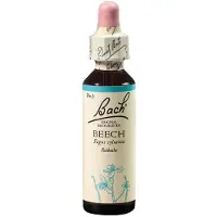 Nelsons GmbH Fleurs de Bach Original n° 3 Beech, hêtre rouge, gouttes 20 ml