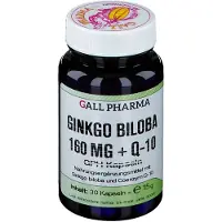 Hecht Pharma GmbH Geschäftsbereich Handelsware Ginkgo Biloba 160 mg+Q10 Gph Capsules 30 pc