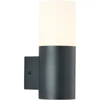 Brilliant Aberdeen Applique murale d'extérieur verticale anthracite, acier inoxydable/plastique, 1x QA60, E27, 28 W