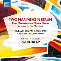 OUTHERE Various Artists - Two Marimbas In Berlin [Cd]