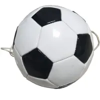 Sportx Voetbaltrainer 140 gr + Koord 150 cm