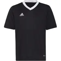 Adidas T-Shirt fonctionnel 'Entrada 22' noir / blanc