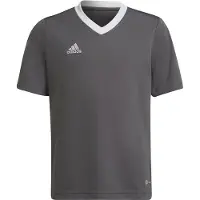 Adidas T-shirt Entrada 22 Jsy, H57499, Pointure: 159