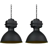 QAZQA Lot de 2 lampes suspendues industrielles petites noir mat - Sicko