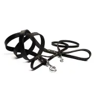 Beeztees BZ LAISSE EN CUIR NOIR 100X20 (Chien, Promenade)