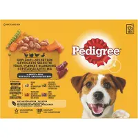 Pedigree Sachets Fraîcheur Adulte Sauce Sélection Volaille Multipack 12x100 g Aliment