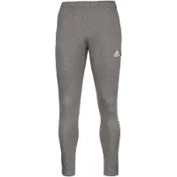 Adidas Hommes, Bas de sport, Pantalon De Sweat Tiro 21 (S), Gris