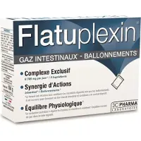 3C Pharma Flatuplexin x16 Sachets De Poudre