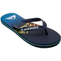 Quiksilver Molokai Art Flip Flops Bleu EU 40 Homme