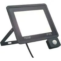 vidaXL Projecteur LED avec capteur 100 W blanc froid