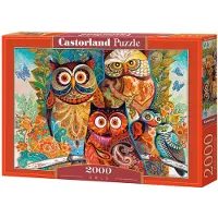 Castorland Puzzle 2000 pièces Chouettes 200535