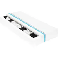 vidaXL Matelas 80 x 200 cm 7 zones de ressorts ensachés 20 cm H3