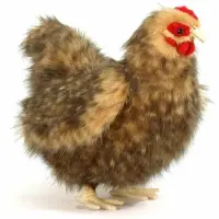 Hansa - Peluche Poule Beige - 31 Cm