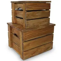 vidaXL Set de caisses de rangement 2 pcs. Bois d'acajou massif
