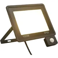 vidaXL Projecteur LED avec capteur 100 W blanc chaud