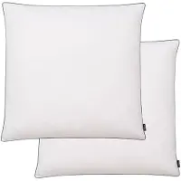 vidaXL Oreiller lot de 2 Remplissage de duvet 80 x 80 cm Blanc