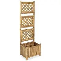vidaXL Lit surélevé de jardin avec treillis Bambou 40 cm