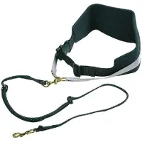Flamingo F Canicross Dog Leash Noir