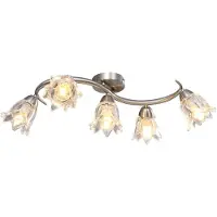 vidaXL -Deckenlampe mit Glas -Tulpe -verdrängten Kapuzen 5xe14 transparent